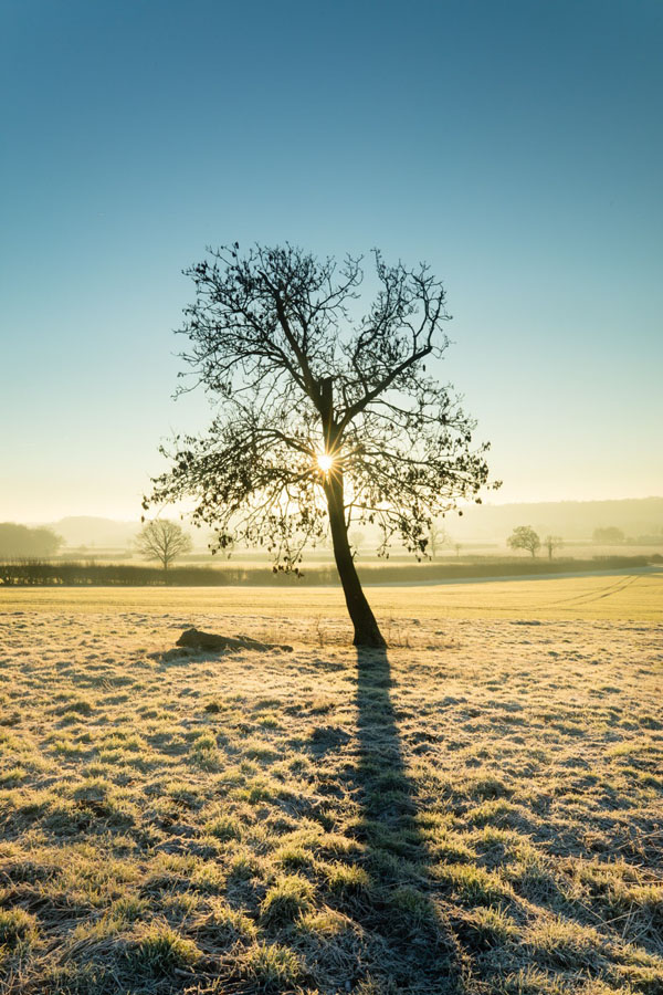 طلوع خورشید یخ زده، کینگز ساتن، آکسفوردشایر، انگلستان