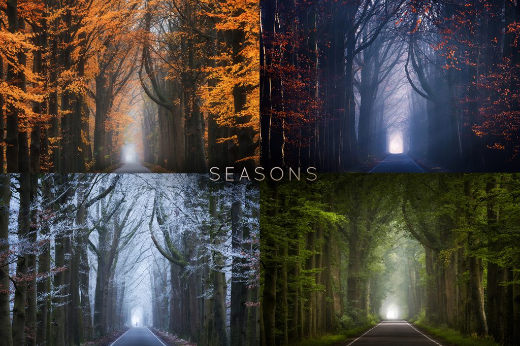 عکاسی از طبیعت در چهار فصل